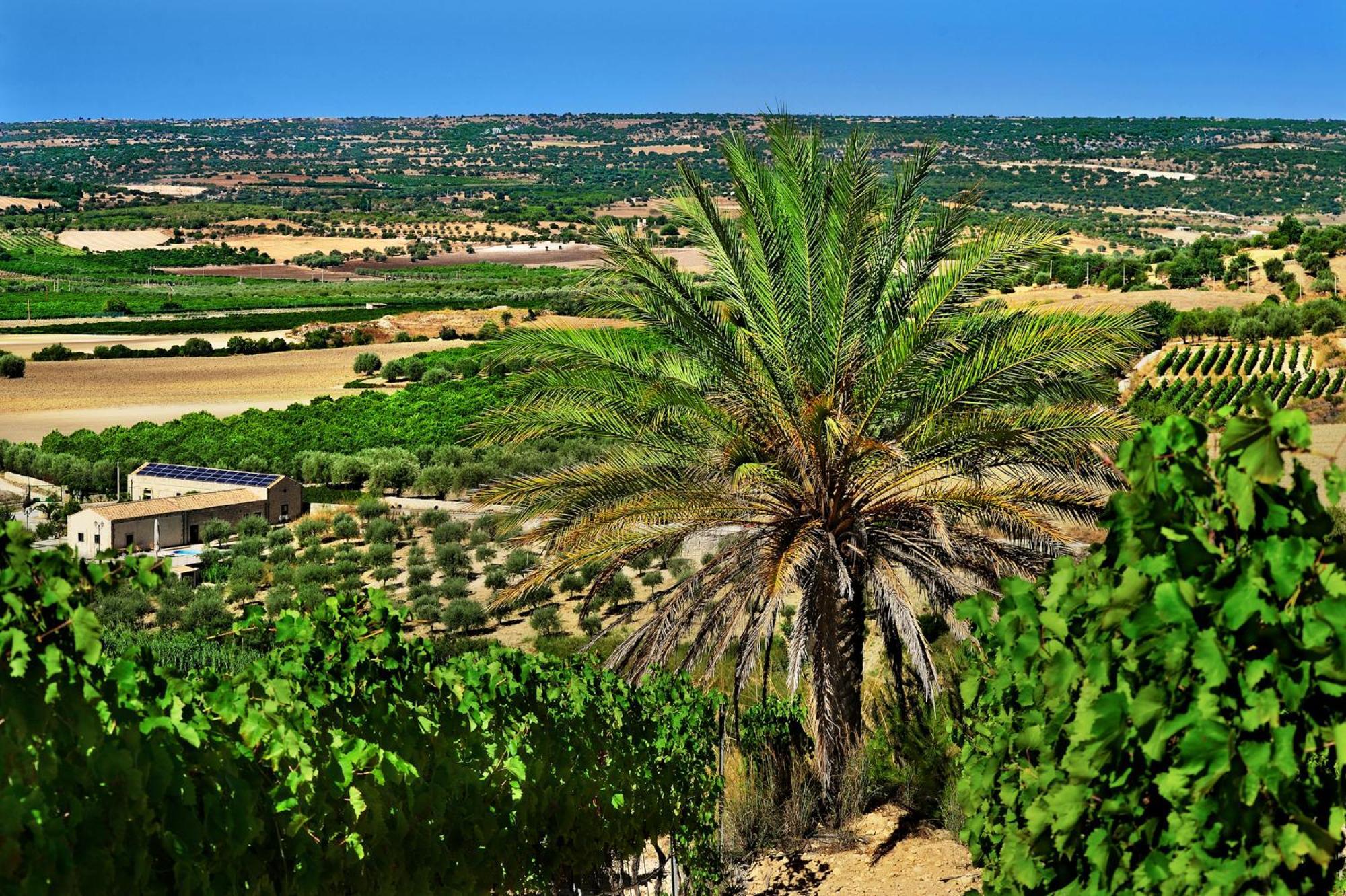Kallikoros Country Resort & Spa Noto Exterior photo