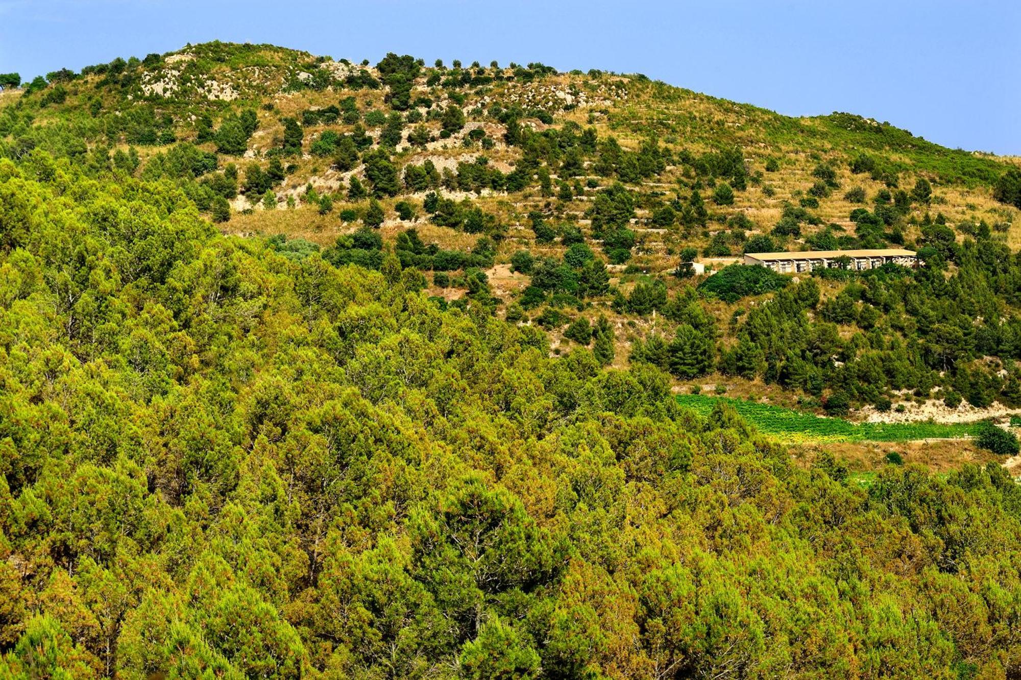 Kallikoros Country Resort & Spa Noto Exterior photo