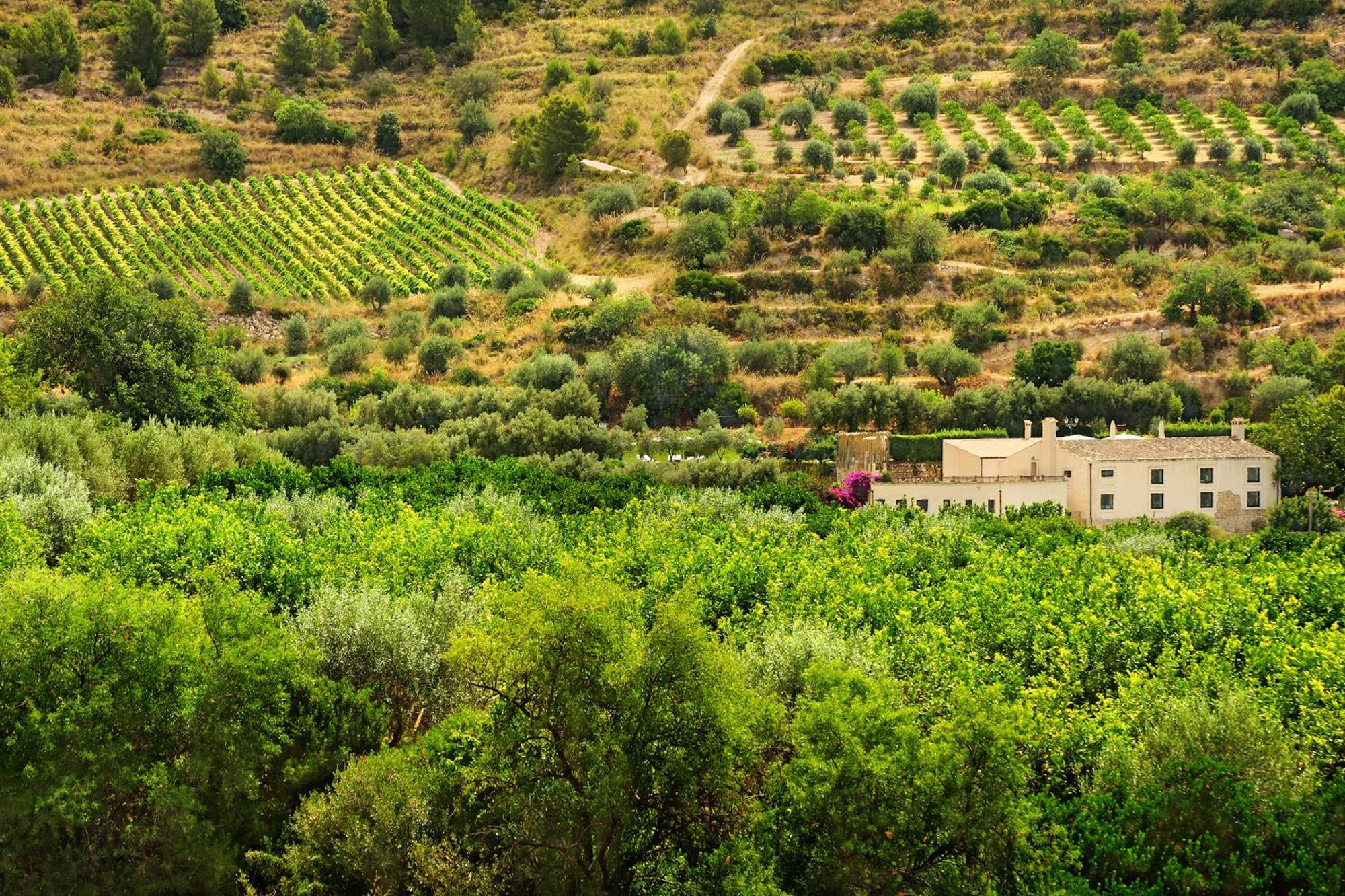 Kallikoros Country Resort & Spa Noto Exterior photo